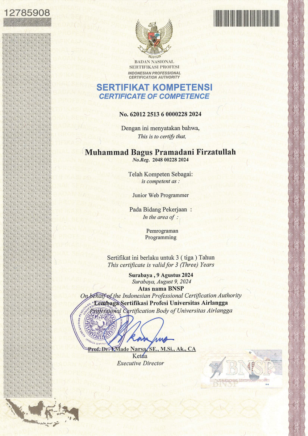 BNSP Junior Web Programmer